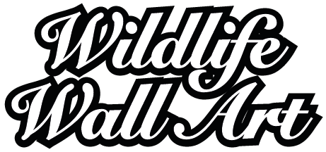 Staging website Wildlife Wall Art